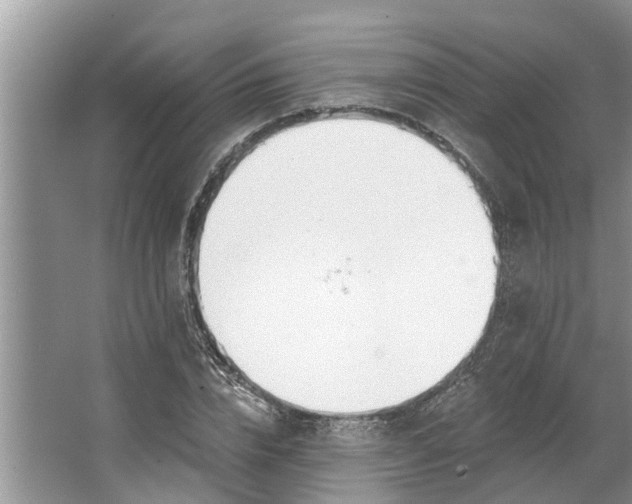 X0000064050832200602101448