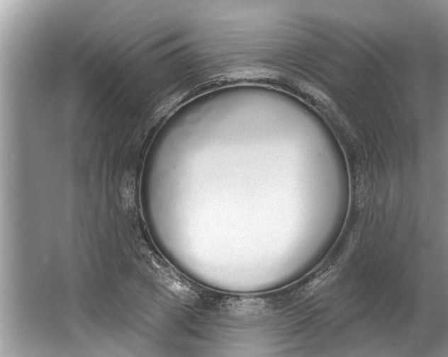 X0000064050833200602101448