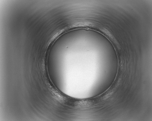 X0000064050834200602101448