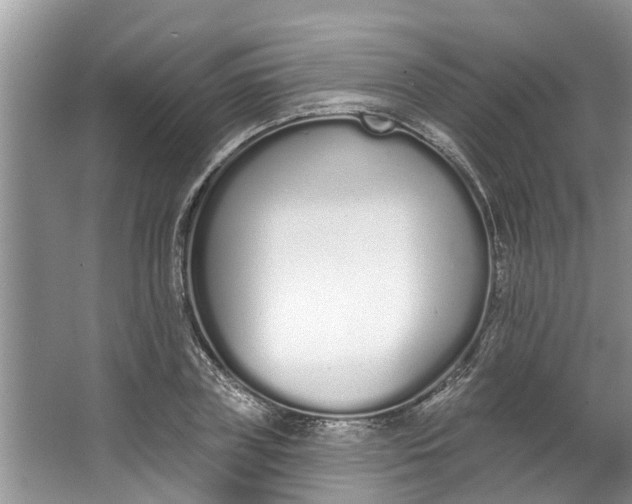 X0000064050835200602101448