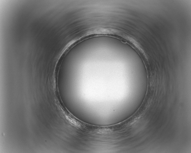 X0000064050837200602101448