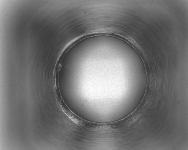 X0000064050838200602101448