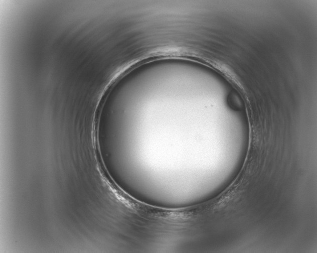 X0000064050839200602101448