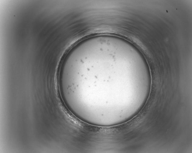 X0000064050840200602101448