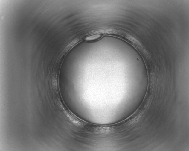 X0000064050841200602101448