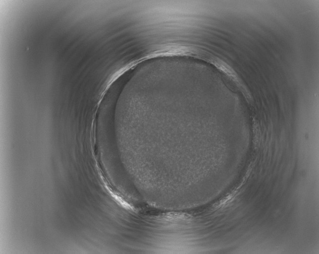 X0000064050842200602101448