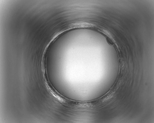 X0000064050843200602101448