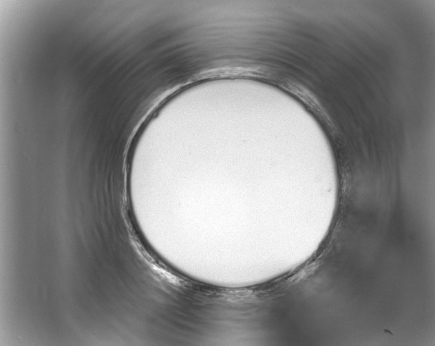 X0000064050844200602101448