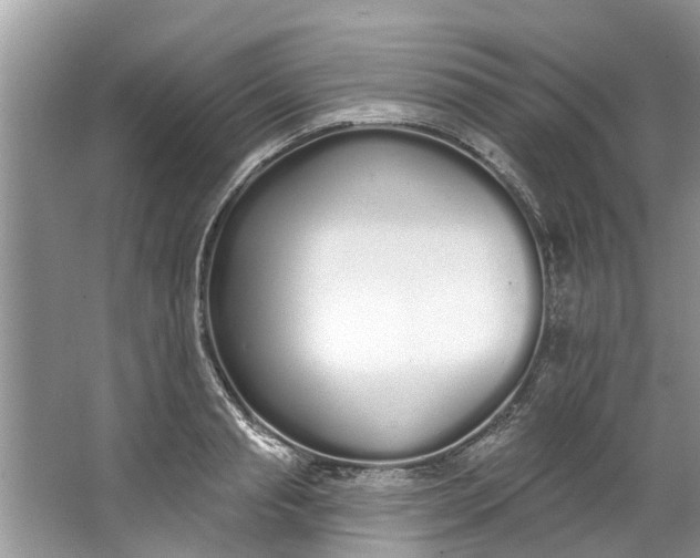 X0000064050845200602101448