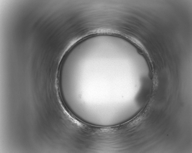 X0000064050847200602101448