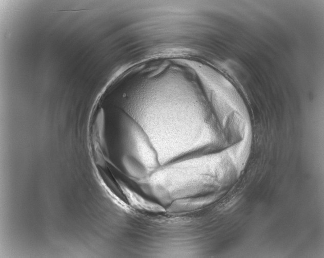 X0000064050851200602101448