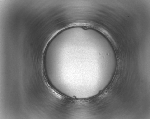 X0000064050852200602101448