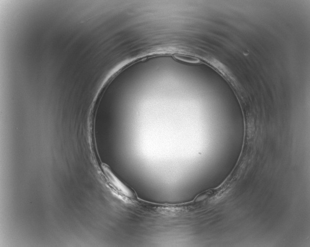 X0000064050854200602101448