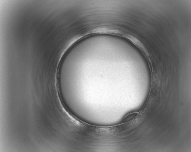 X0000064050855200602101449