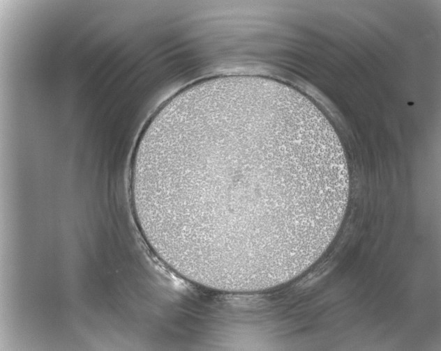 X0000064050856200602101449