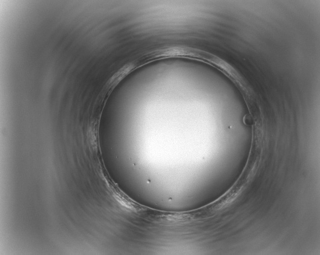 X0000064050857200602101449