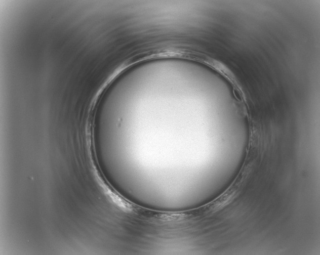 X0000064050859200602101449