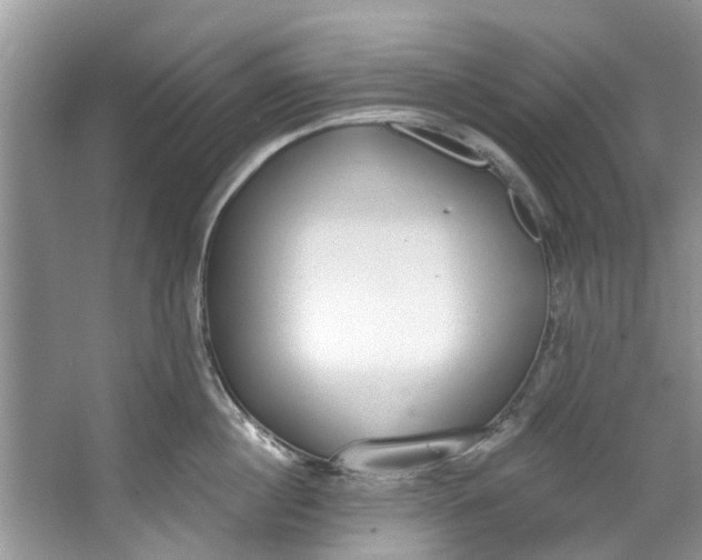 X0000064050860200602101449