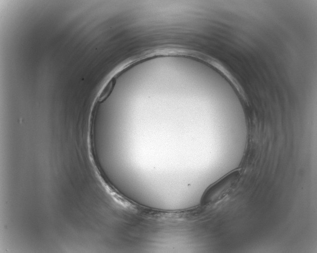 X0000064050861200602101449