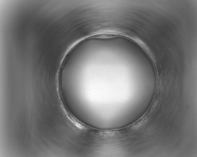 X0000064050862200602101449