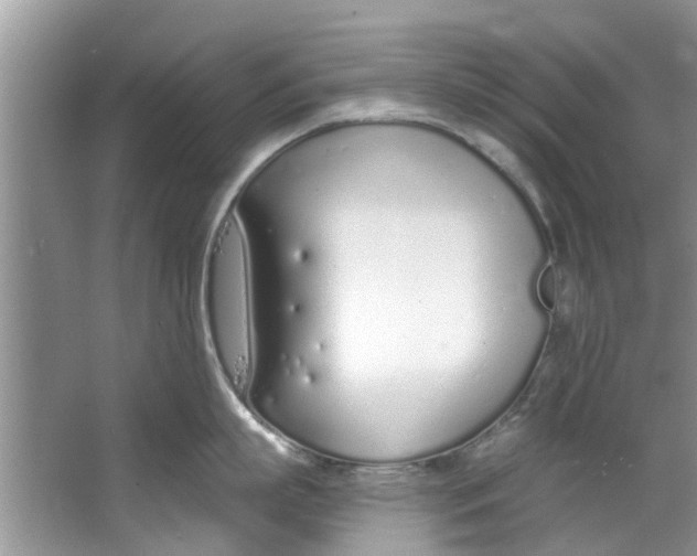 X0000064050863200602101449