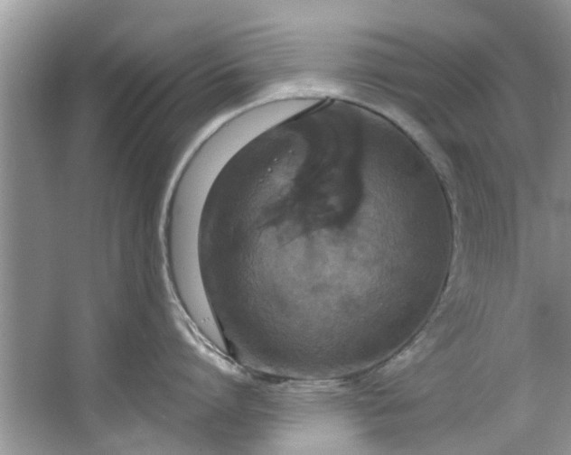 X0000064050864200602101449