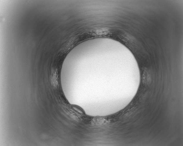 X0000064050866200602101448