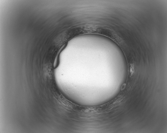 X0000064050867200602101448