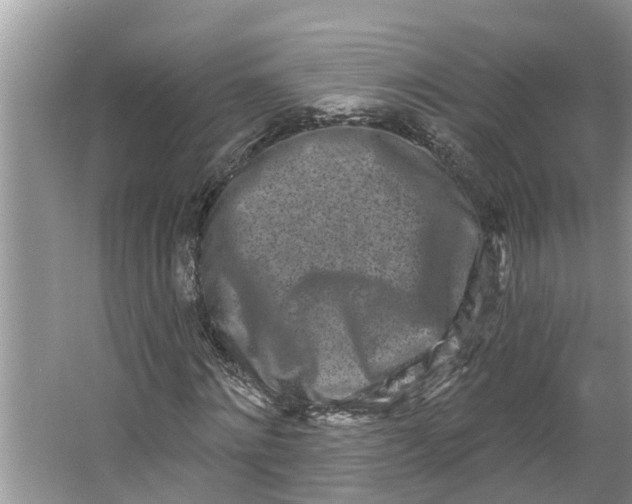 X0000064050868200602101448