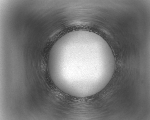 X0000064050869200602101448