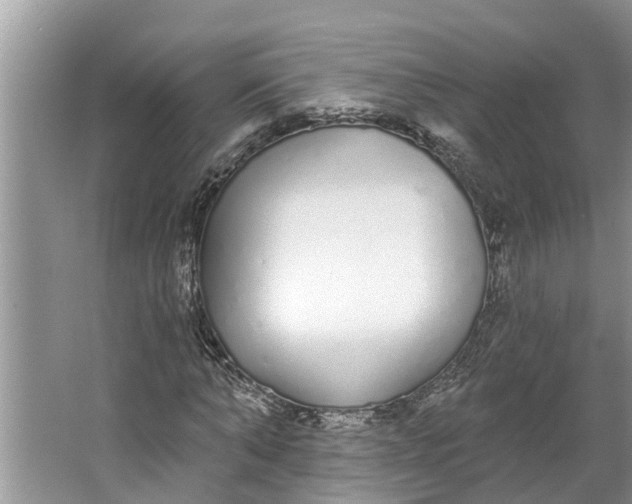 X0000064050870200602101448