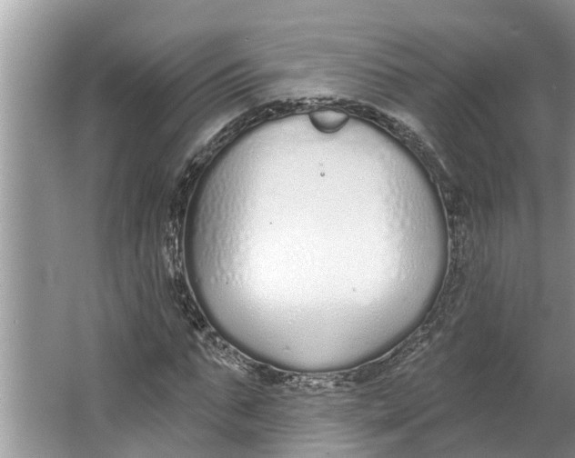 X0000064050871200602101448