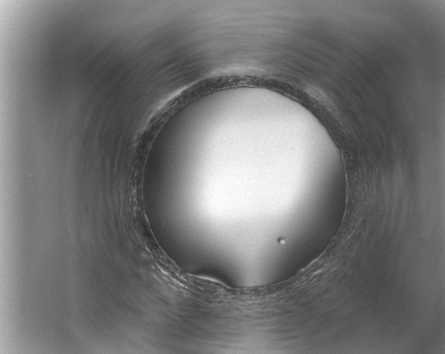 X0000064050872200602101448