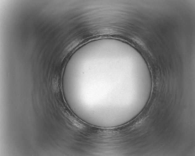 X0000064050873200602101448