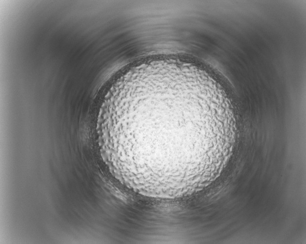 X0000064050874200602101448