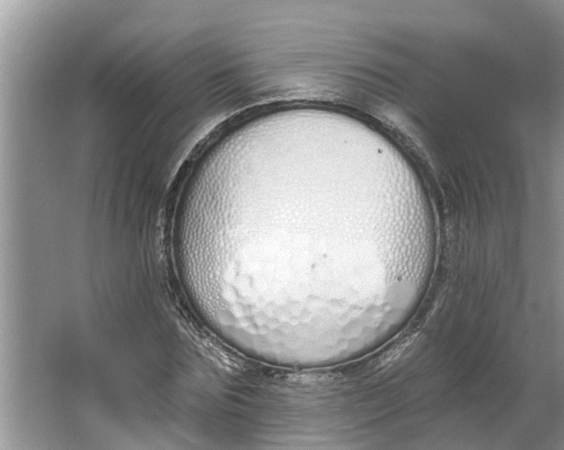 X0000064050875200602101448