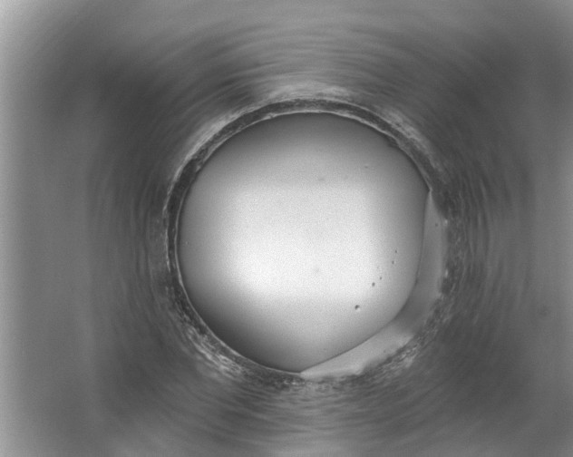 X0000064050877200602101448