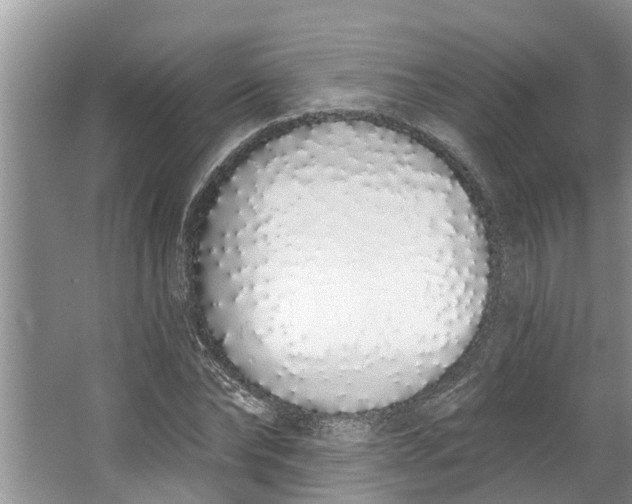 X0000064050878200602101448