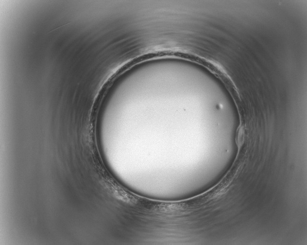 X0000064050879200602101448