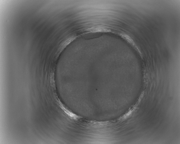 X0000064050881200602101448