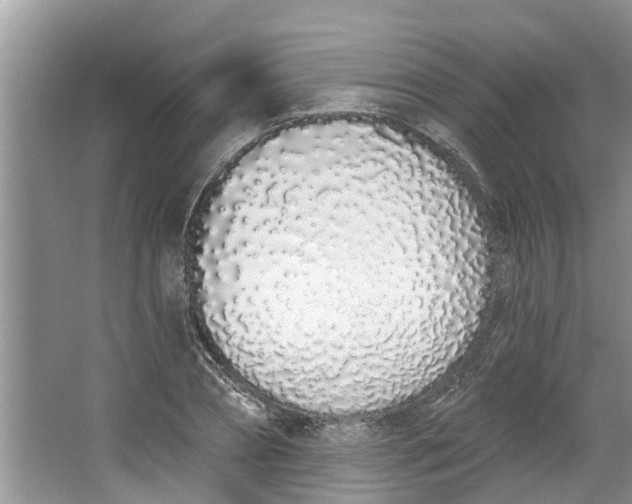 X0000064050882200602101448