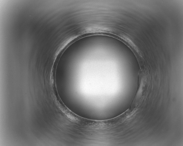 X0000064050885200602101448