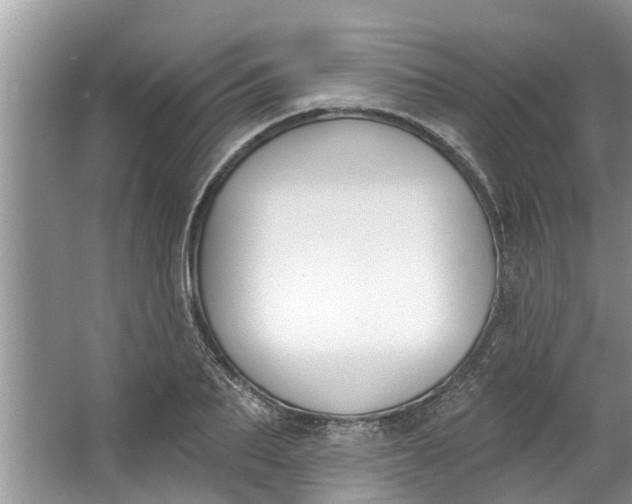 X0000064050887200602101447