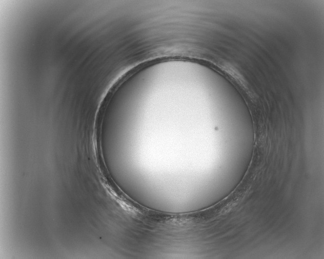 X0000064050888200602101447