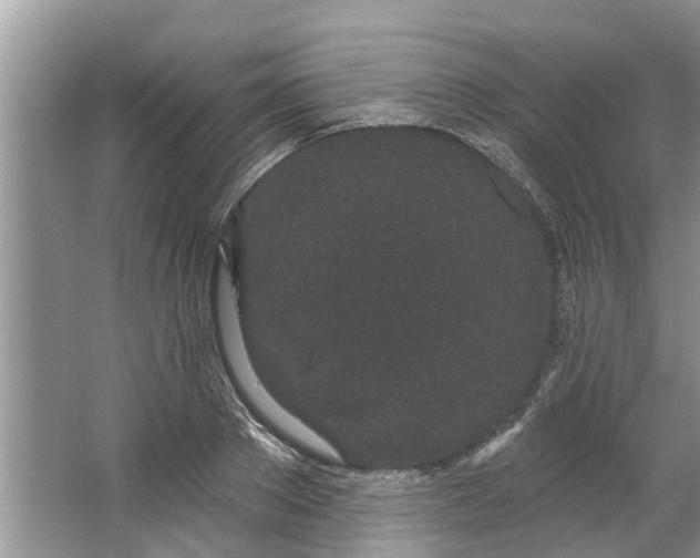 X0000064050889200602101447