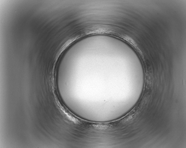 X0000064050890200602101447