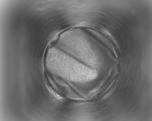 X0000064050892200602101447