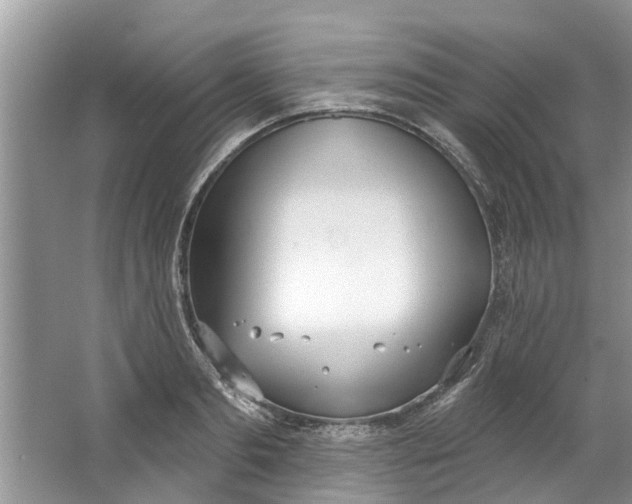 X0000064050893200602101447