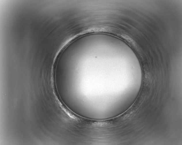 X0000064050894200602101447