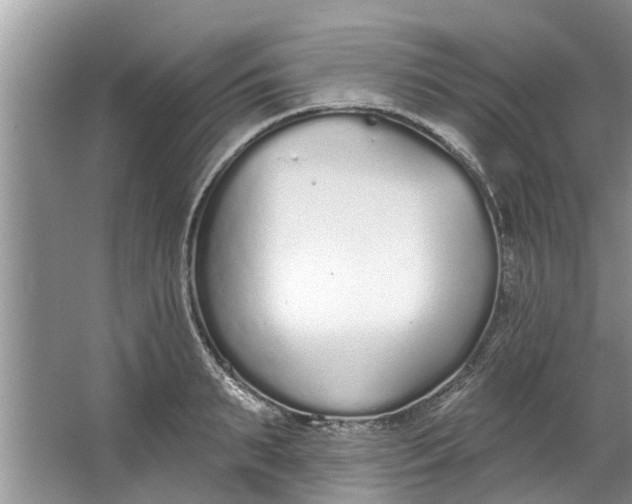 X0000064050895200602101447